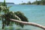 More
on Sitio Drago, Panama