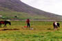 More on
Skagafjordur, Iceland